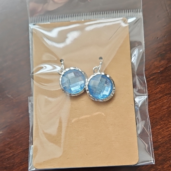 Jewelry - Elegant Blue Silver Earrings
